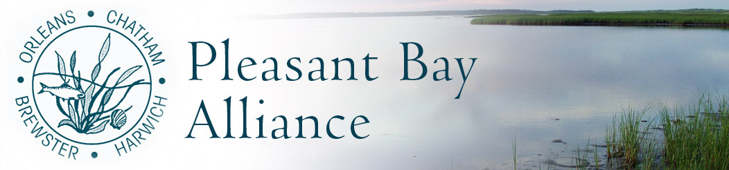 Pleasant Bay Alliance | Orleans | Chatham | Brewster | Harwich